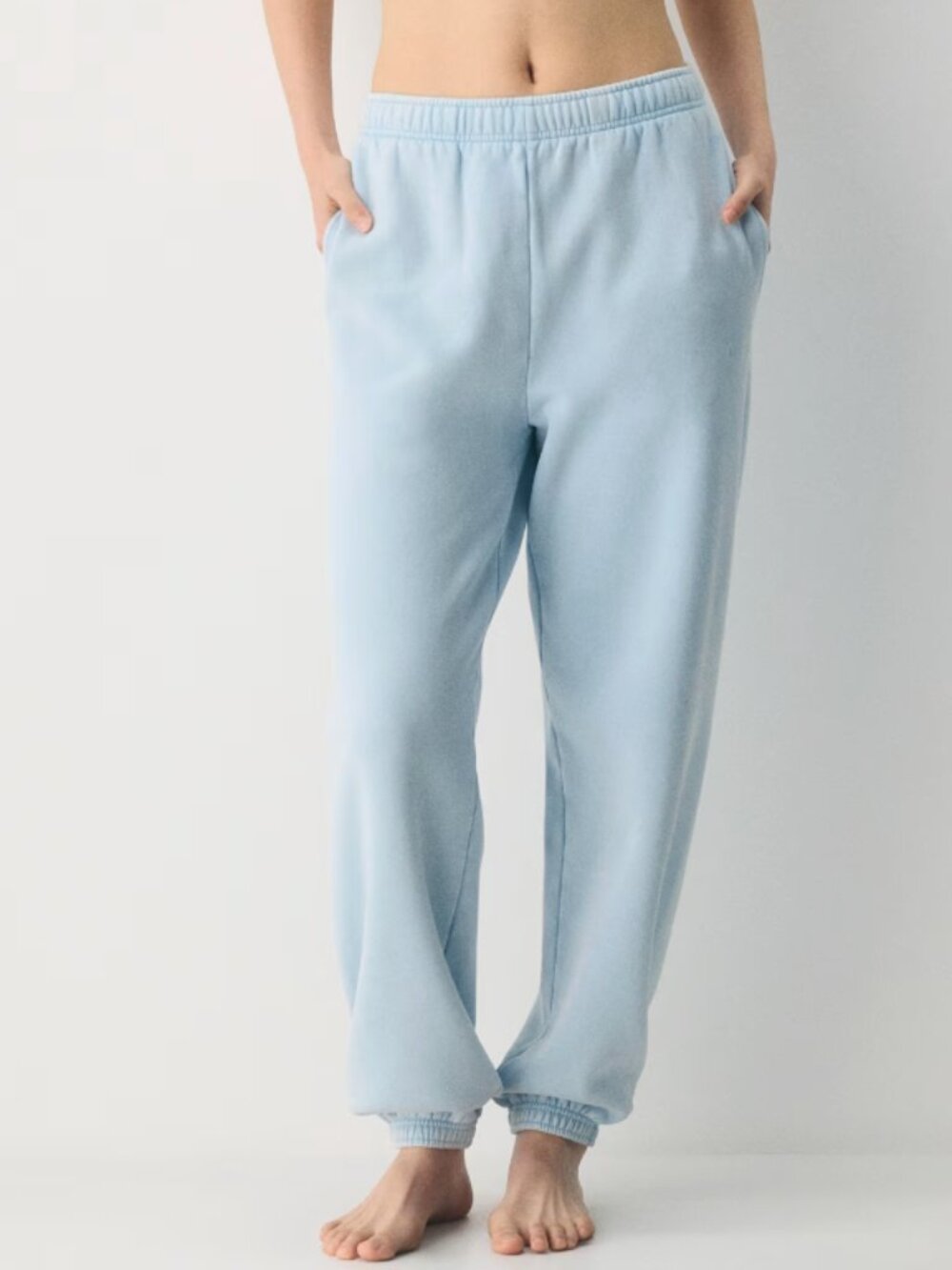 Aritzia Mega Fit Sweatfleece Cozy Fleece Joggers